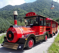 龍之盈游樂觀光小火車可以定制嗎？